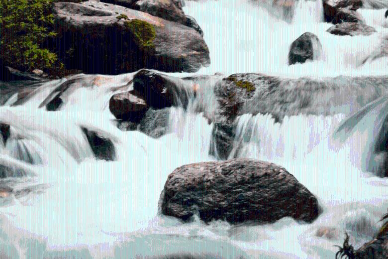 春雨直播app